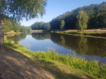 Randonnée Vélo de route Wingen-sur-Moder - sortie wingen reel - Photo