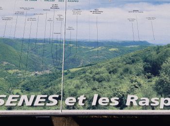 Randonnée Marche Villefranche-de-Panat - les raspes d'ayssenes - Photo