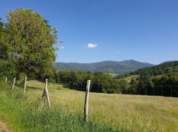 Tour Wandern Weiler - Le massif de la Honel - Photo