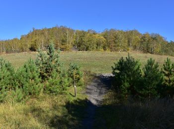 Tocht Te voet Oudsbergen - Moorsberg Paarse trapezium - Photo