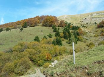 Tocht Stappen Saint-Théoffrey - chollonge villard saint Christophe  - Photo