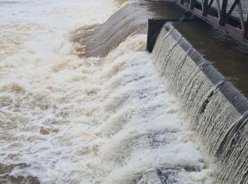 Trail Mountain bike Saint-Clément - sortie vtt 31012021 Baccarat dans l'eau  - Photo