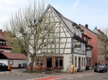 Randonnée A pied Otterberg - Pfälzerwald Grüner Punkt #3 - Photo