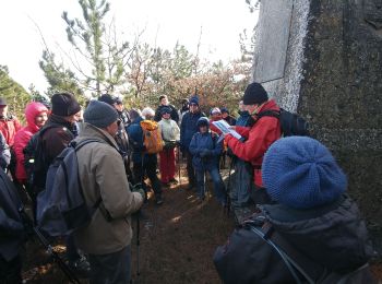 Randonnée Marche Réauville - 20190212 randoAllan Susanne stPancace - Photo