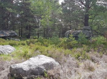 Excursión Senderismo Arbonne-la-Forêt - sainte vierge monument 26 mai 19 - Photo