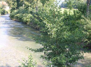 Randonnée A pied Gemeinde Aspang - Kleiner Königsbergweg (Aspang Markt) - Photo