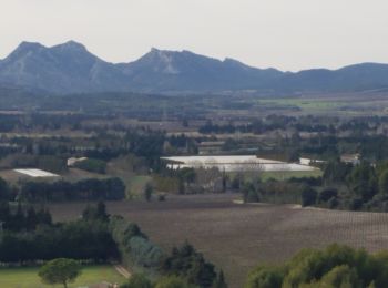 Excursión Senderismo Sénas - la pecoule. et cabre - Photo