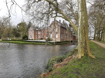 Tour Rennrad Bilzen - limbourg1 - Photo