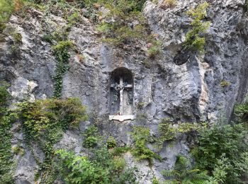 Tocht Stappen Bled - bled - tour du lac - Photo