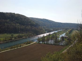 Percorso A piedi Essing - Rundweg Essing 2 - Photo