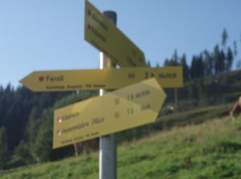 Percorso A piedi Dienten am Hochkönig - Feroli-Moaralm - Photo