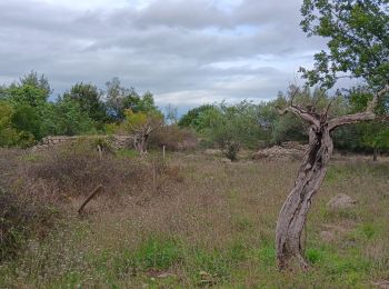 Excursión Senderismo Saint-Paul-le-Jeune - randonnee des combes blancs - Photo