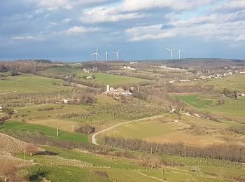 Randonnée Marche Montmiral - Tour de Montmiral  - Photo