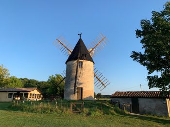 Trail Walking Vensac - Autour de Vensac - Photo