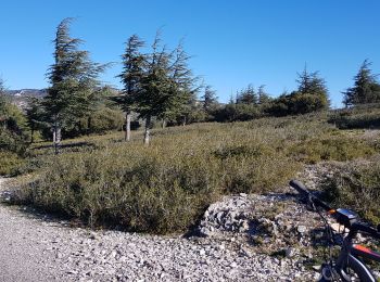 Randonnée Vélo électrique Mallemort - 13 Crêtes du Luberon - Photo