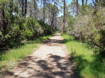 Randonnée Marche Ghisonaccia - forêt de pinia, étang,mer - Photo