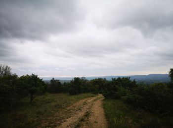 Tour Nordic Walking Saint-Ambroix - 10.05.20 chemin et piste - Photo