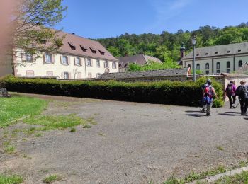 Tour Wandern Vöklingshofen - Voeglinshoffen StMarc - Photo