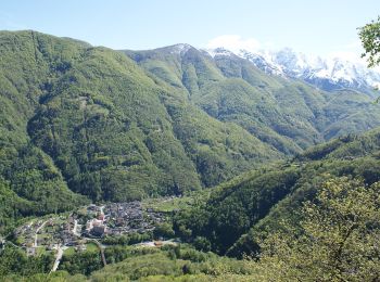 Percorso A piedi Centovalli - Sentiero Monte di Comino - Photo