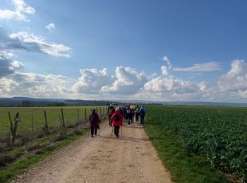 Tour Wandern Riaucourt - Riaucourt - Photo