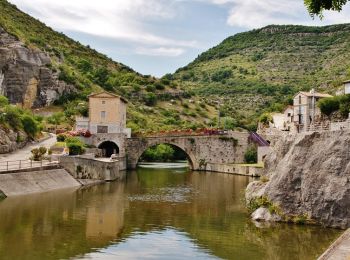 Randonnée Marche Loriol-sur-Drôme - Le Pouzin Le Bac. 7km. - Photo