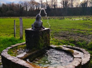Tocht Stappen Braives - La Rainette des marais - Photo