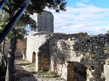 Tour Wandern Chusclan - Venejan_041121 - Photo