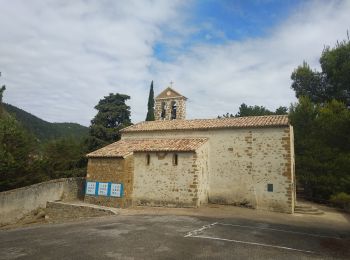 Randonnée Marche Châteauneuf-de-Bordette - Chateauneuf de Bordette Montagne Pietieix boucle - Photo