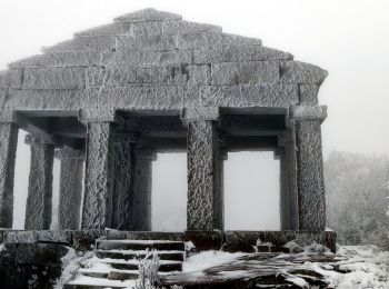 Tocht Stappen Grandfontaine - 2019-01-05 Marche Temple du Donon - Photo