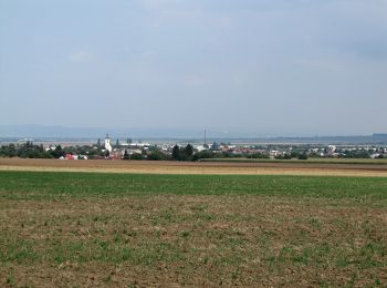 Excursión A pie Senice na Hané - NS Elišky z Kunštátu - Photo