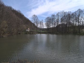 Tour Zu Fuß Blieskastel - Eulenwanderweg - Photo