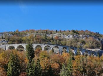 Tocht Stappen Morbier - viaducs_morbier_V2 - Photo