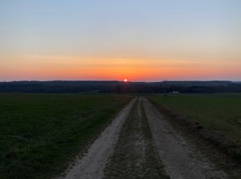 Excursión Carrera Ligny-le-Châtel - Circuit autour de Ligny le chatel - Photo