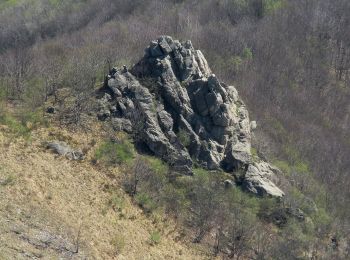 Excursión A pie Ceranesi - San Carlo di Cese - Monte Proratado - Photo