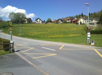 Percorso A piedi Stadt Feldkirch - Mauren - St. Corneli (A) - Photo