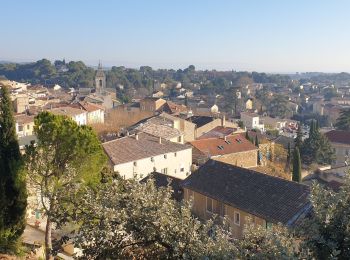 Percorso Marcia Beaumes-de-Venise - Beaume de Venise  - Photo