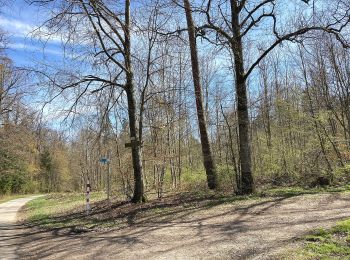 Tocht Te voet Starzach - Burgmühle-Frommenhausen-Rottenburg - Photo