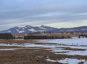 Tour Langlaufen Les Fourgs - Piste du Voirnon - Photo