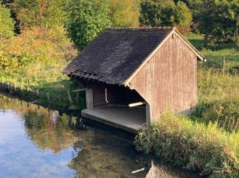 Randonnée Marche Beaumontel - Rando et histoire de Beaumont le Roger - Photo