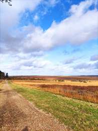 Tocht Stappen Waimes - La grande ronde des Fagnes   - Photo