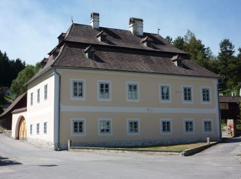 Tour Zu Fuß Gemeinde Rappottenstein - Panoramaweg 7 - Photo