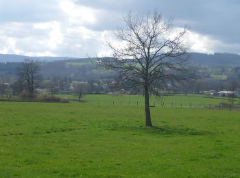 Tour Wandern La Pacaudière - B06 - Photo