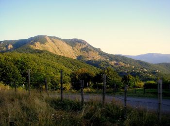 Tour Zu Fuß Santo Stefano d'Aveto - Santo Stefano d'Aveto - Passo Bocco - Passo Crociglia - Photo