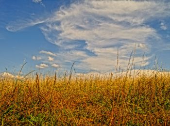 Trail On foot Litzendorf - Kleine Tal-Rundwanderung - Photo