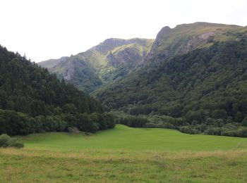 Percorso A piedi Chambon-sur-Lac - La Vallée de Chaudefour - Photo