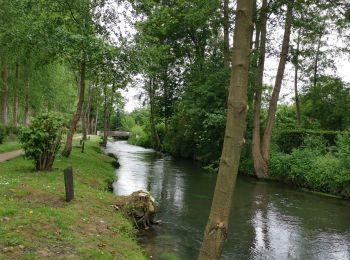 Randonnée Marche Criel-sur-Mer - criel sur mer - Photo