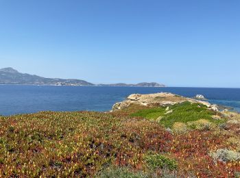 Randonnée Marche Lumio - Lumio vers ÎLE DE SPANO - Photo