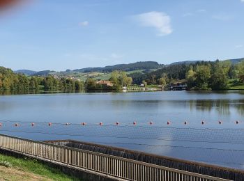 Percorso Marcia Ronno - lac des Sapins - Photo