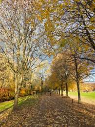 Randonnée Marche Aywaille - Remouchamps - Aywaille - Photo