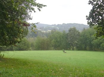 Tour Zu Fuß Thiergarten - NS Branka - Photo